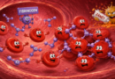 Rozlepte si krvinky: Fibrinogen – tiché lepidlo naší krve (2.)