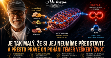 Dr. Kruse: Kyslík, nebo elektron? Elektrony a protony (3.)