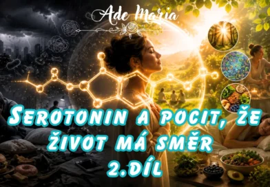 * Serotonin 2 * Serotonin 2