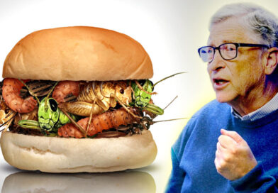 Budeme ve jménu „udržitelnosti“ jíst brouky? Budeme ve jménu „udržitelnosti“ jíst brouky?