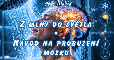 Z mlhy do Světla Z mlhy do Světla