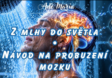 Z mlhy do Světla Z mlhy do Světla