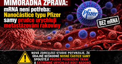 Nanočástice od Pfizeru boostují rakovinu i bez mRNA vakcíny Nanočástice od Pfizeru boostují rakovinu i bez mRNA vakcíny