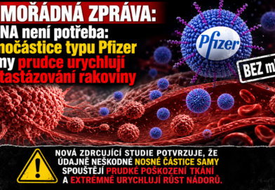 Nanočástice od Pfizeru boostují rakovinu i bez mRNA vakcíny Nanočástice od Pfizeru boostují rakovinu i bez mRNA vakcíny