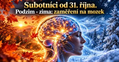 V sobotu začíná nová série on-line Subotníků, míříme na hlavu a mozek