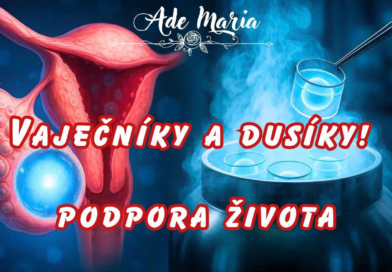 * Vaječníky a dusíky * Vaječníky a dusíky