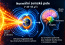Mizející magnetické pole a mozky savců