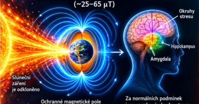 Mizející magnetické pole a mozky savců