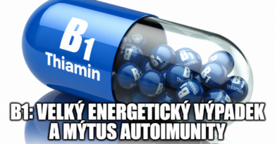 B1 B1